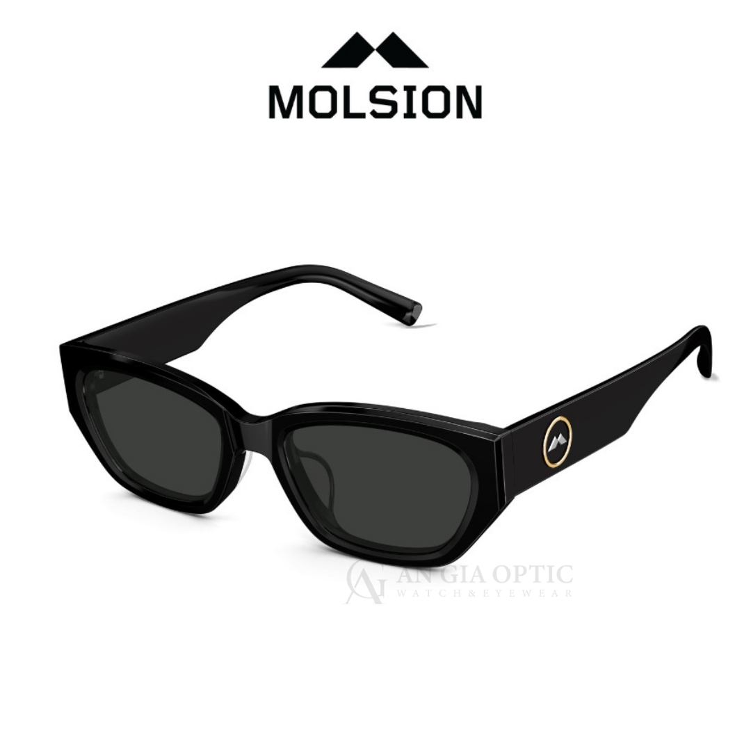 Kính Mát Molsion MS3100_C10.CS